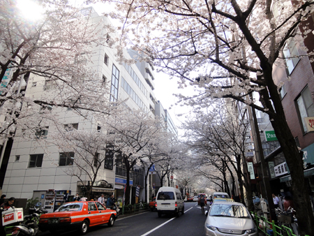 DSC02176のコピー DSC02176のコピー